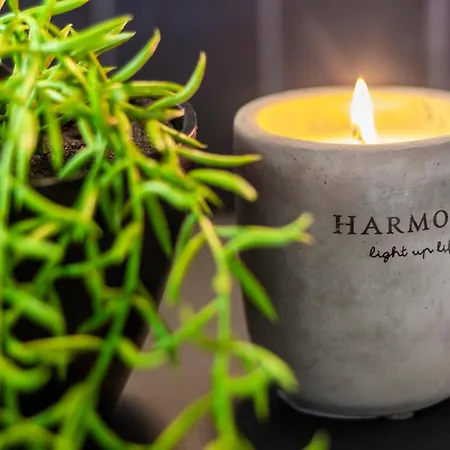 Lungolago Modern Fd Appartement