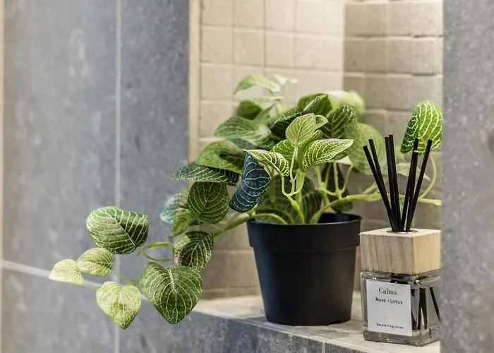 公寓 Lungolago Modern Fd 科莫